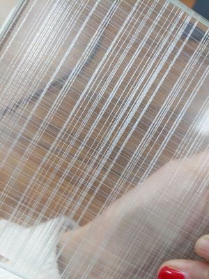 ワードローブ6mmの薄板にされたガラス